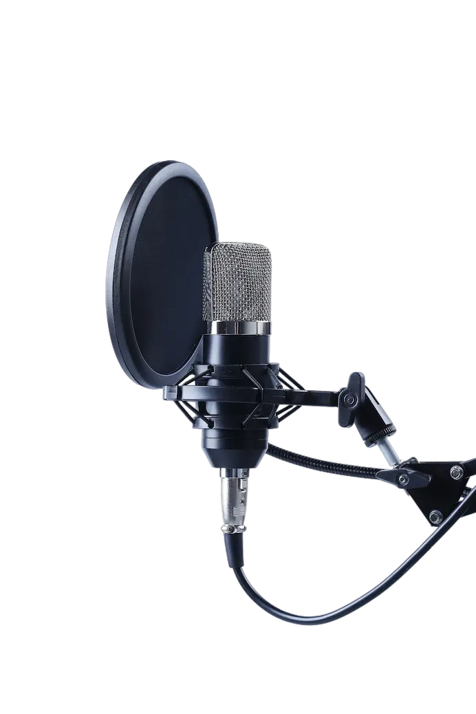 modern-microphone (1)